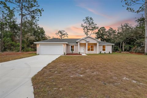 Photo of 8833 N Spartan Drive, Citrus Springs, FL 34433 (MLS # OM716775)