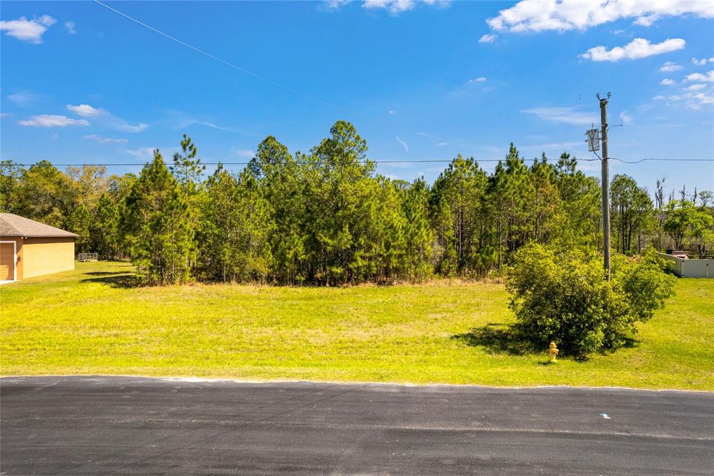 Photo of 8134 SPRING FOREST LANE, WESLEY CHAPEL, FL 33544 (MLS # T3433841)