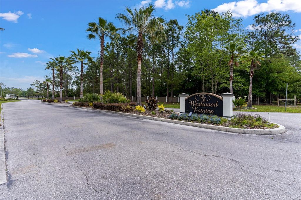 Photo of 8134 SPRING FOREST LANE, WESLEY CHAPEL, FL 33544 (MLS # T3433841)