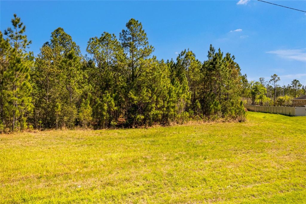 Photo of 8134 SPRING FOREST LANE, WESLEY CHAPEL, FL 33544 (MLS # T3433841)