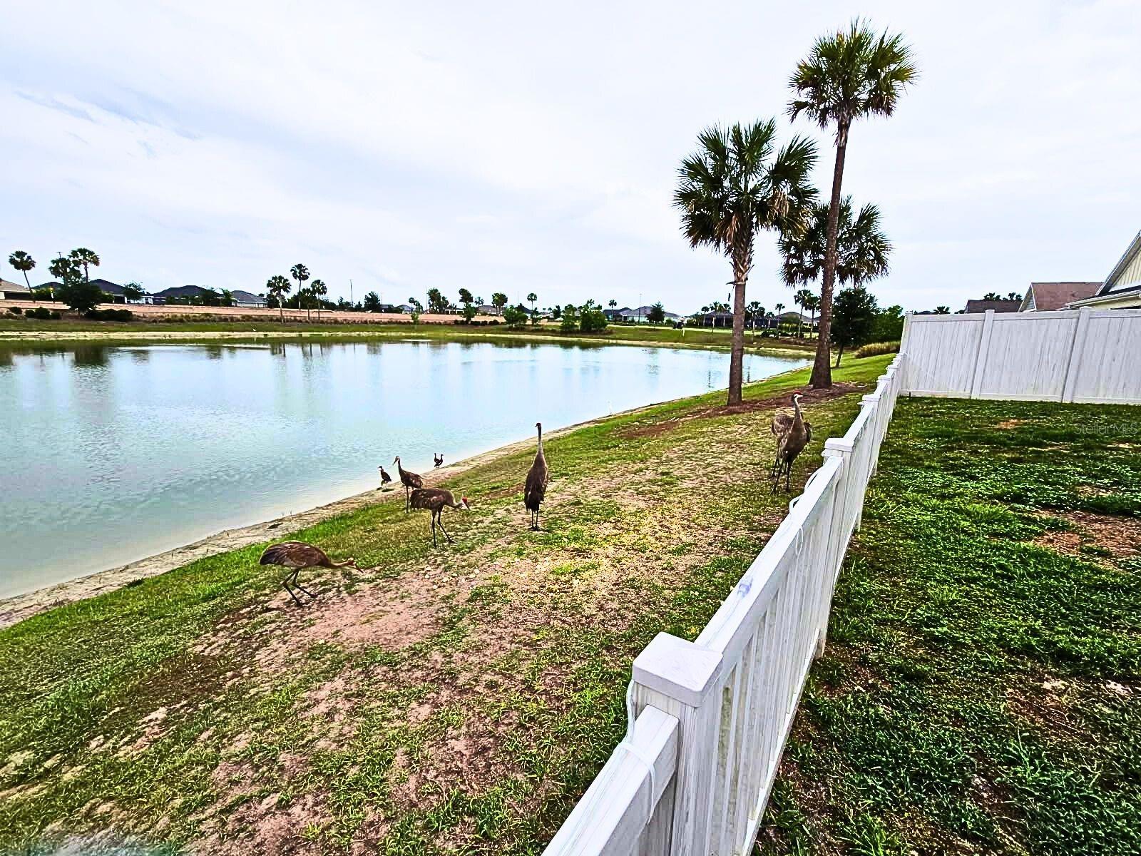 THE VILLAGES - Residential