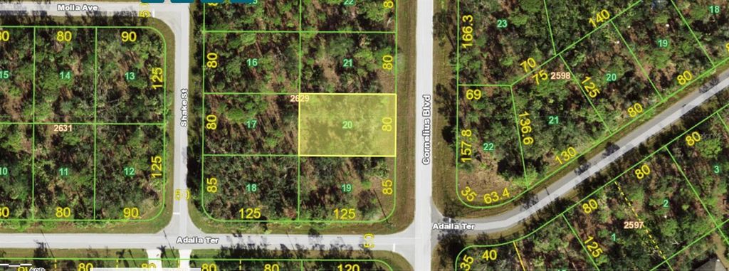 Photo of 1355 Cornelius Boulevard, Port Charlotte, FL 33953 (MLS # C7507238)