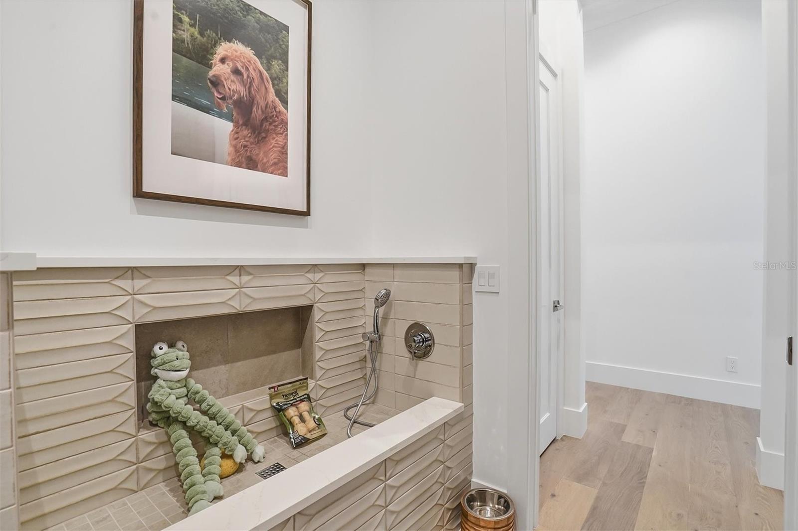 WILD BLUE AT WATERSIDE PHASE 2B - Residential