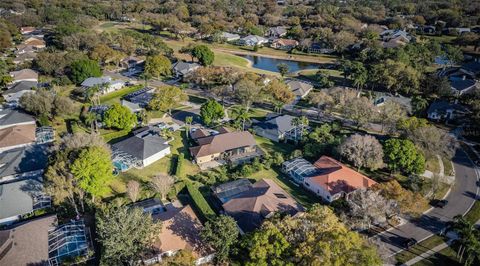 A home in VALRICO