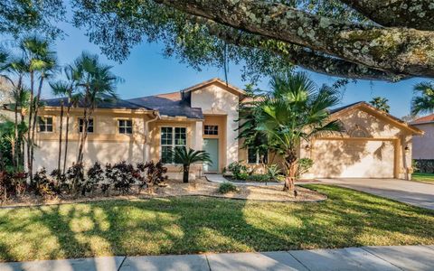 A home in VALRICO