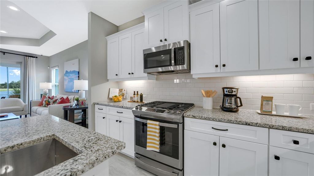 Photo of 11509 Great Brook Lane, Parrish, FL 34219 (MLS # TB8421345)