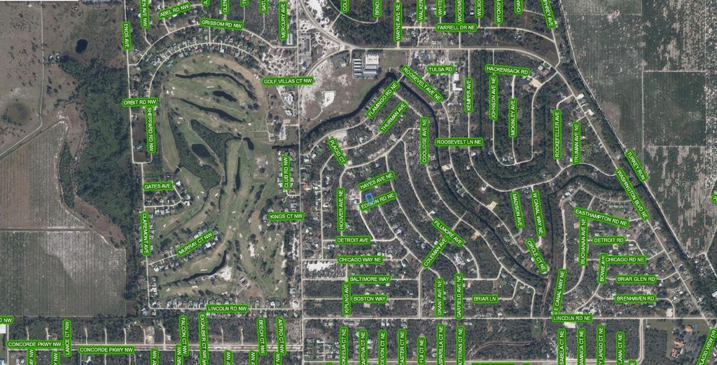 Photo of 102 Edison Road NE, Lake Placid, FL 33852 (MLS # A4681805)