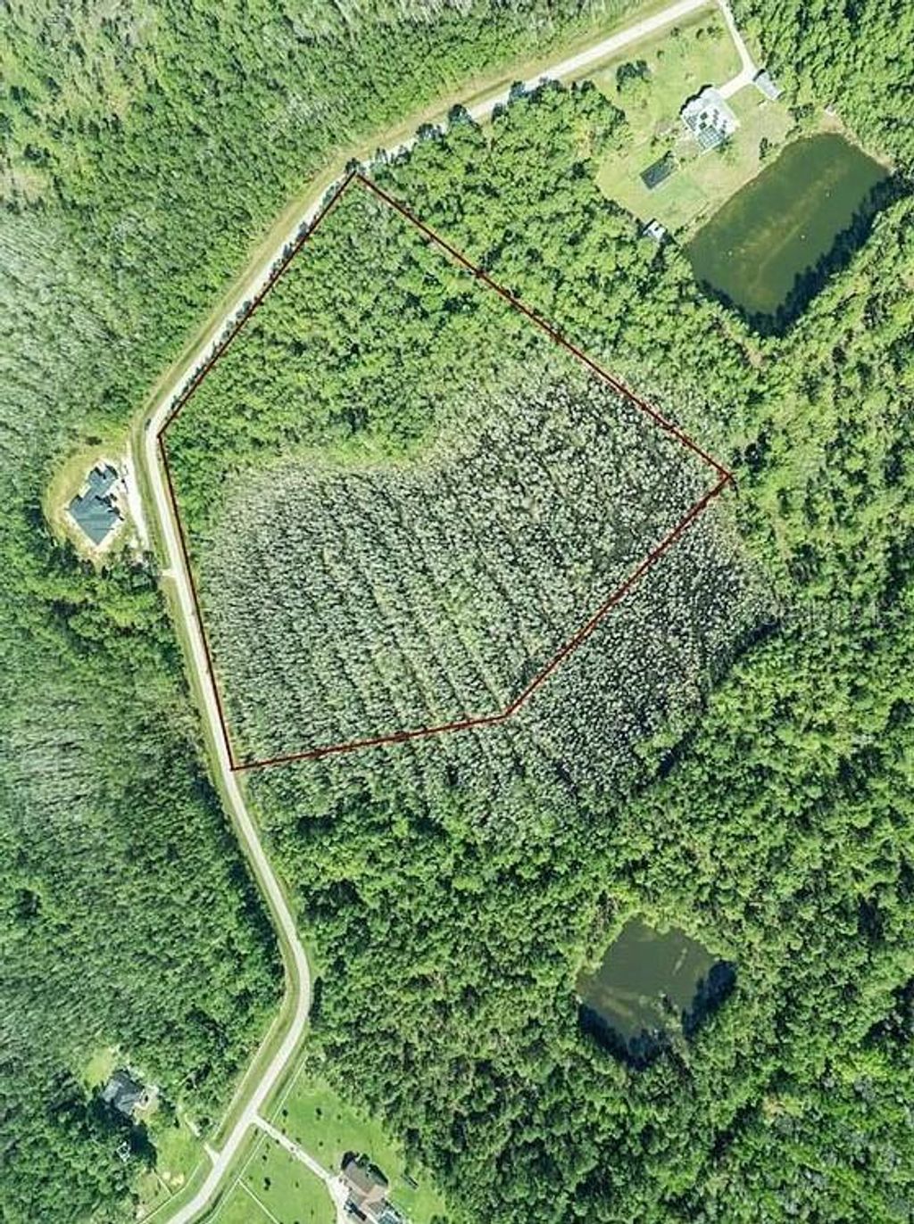 Photo of 704 Hidden Palms Drive, Davenport, FL 33897 (MLS # TB8360313)