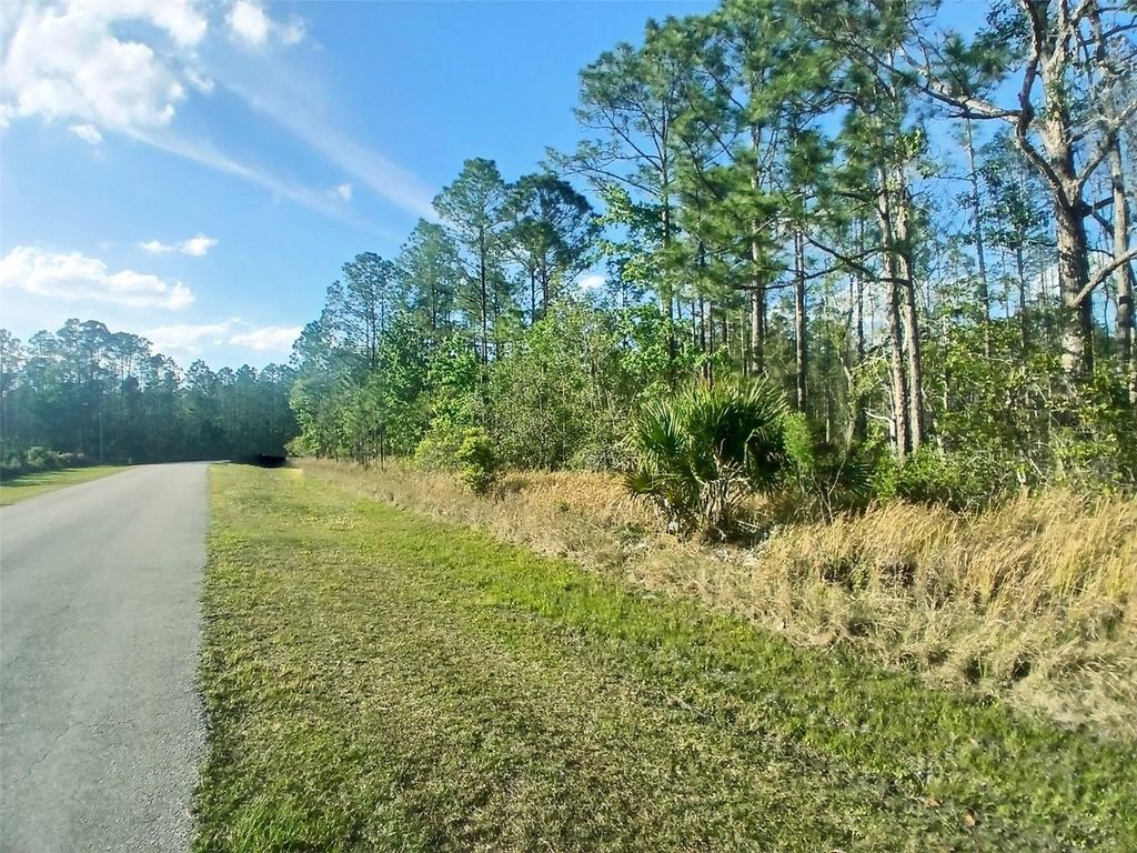 Photo of 704 Hidden Palms Drive, Davenport, FL 33897 (MLS # TB8360313)