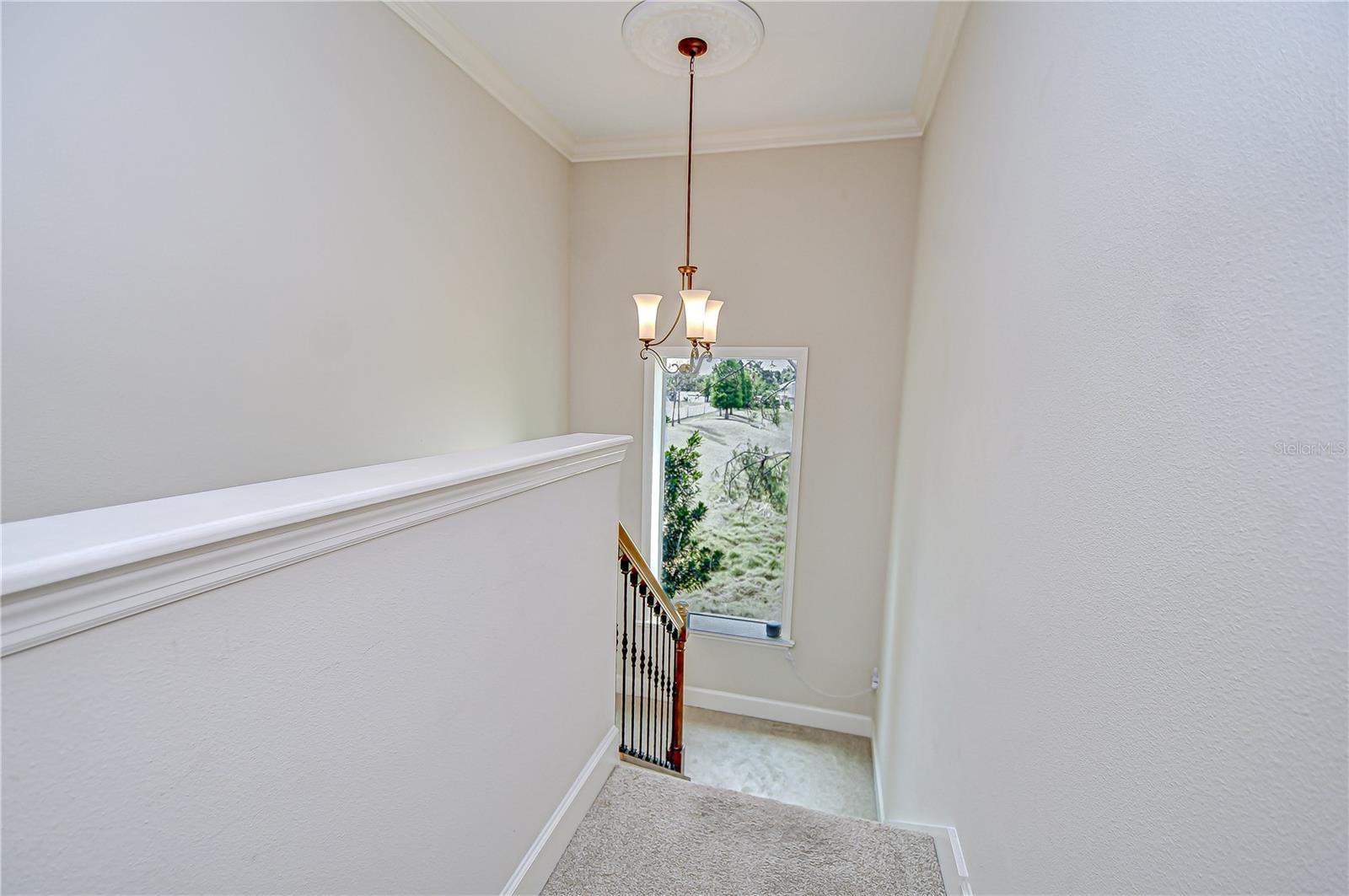 ARBOR RESERVE ESTATES - Residential