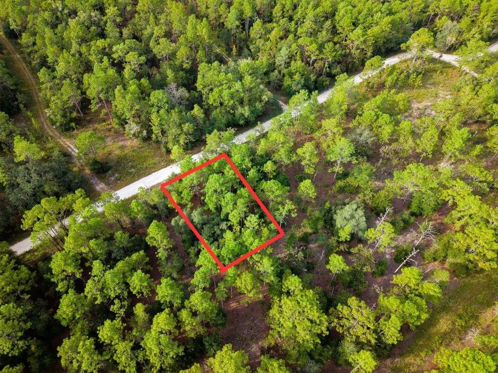 Photo of 0 SW 13th Street, Ocala, FL 34481 (MLS # A4709658)