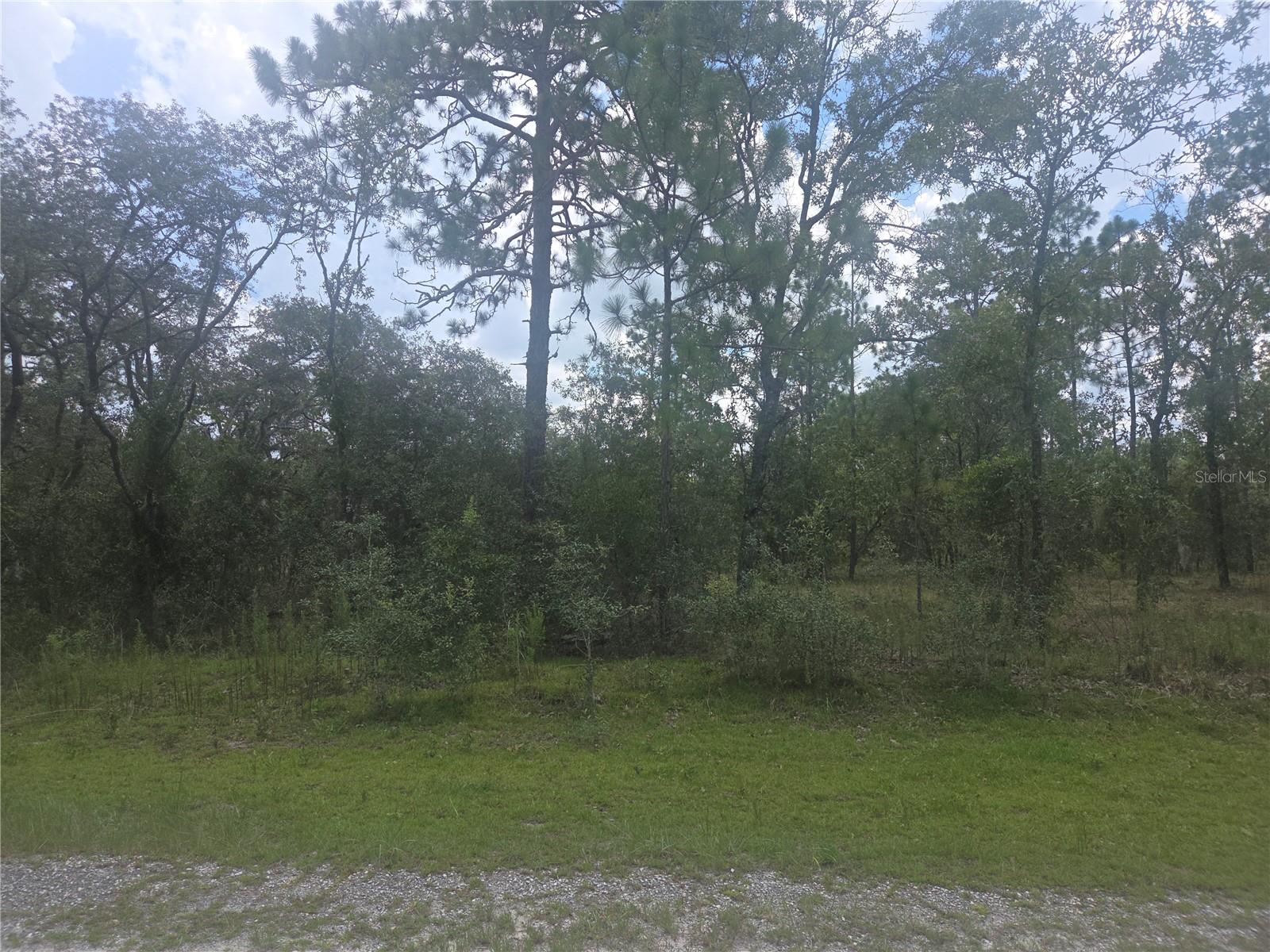 This lot is truly remarkable. As you can see in the pictures the tree growth is sporadic and the tree height is at a minimum so this lot can be easily cleared. A whole acre of land is here and buildable. There is some growth in this neighborhood with new homes being built however on Tamiami there are only 2 homes at this time on the whole street so there is a hard to find feeling of being in a rural community. There is no HOA but you will have access to 2 parks and a lake that provides excellent fishing opportunities. This community offers many amenities including a clubhouse, community center, youth center, library, and 2 parks one of which is on Lake Bonable. There is also a shuffleboard court and a horseshoe court. What a great place to have adventures with your family or friends who come to visit! Rainbow Springs, KP Hole, public golf courses and much more are nearby. Rainbow Lakes Estates MSD is to provide quality recreational opportunities and facilities to the residents and property owners. The community center, clubhouse, courts and ball fields are maintained through the collection of an assessment, which is part of the non ad valorem taxes on your annual real estate tax bill. The town of Dunnellon is about 15 minutes away. There you will have a Walmart and a Publix. There are numerous restaurants including Chinese, Pizza, Coffee at Dunkin, Swampy's Bar and Grill right on the beautiful and popular Rainbow River. Downtown Dunnellon has several antique stores that are in 2 story historic homes and they are such a pleasure to walk through. At Christmas I shopped Downtown Dunnellon antique stores and found several nice unique gifts. There are so many nice things that I could point out about this area but they are just too numerous for this platform. I suggest that you take a ride out there and see for yourself all of the golden opportunities this area offers. There is a newer hotel in Dunnellon that could be used for an overnight stay then you could adventure out again!