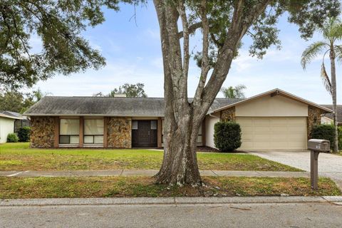 1561 MAC CHARLES COURT DUNEDIN FL 34698