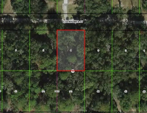 Photo of 2805 Eisenhower Street W, Inverness, FL 34453 (MLS # TB8560114)