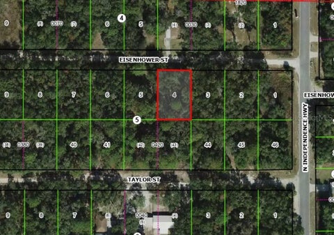 Tiny photo for 2805 Eisenhower Street W, Inverness, FL 34453 (MLS # TB8560114)