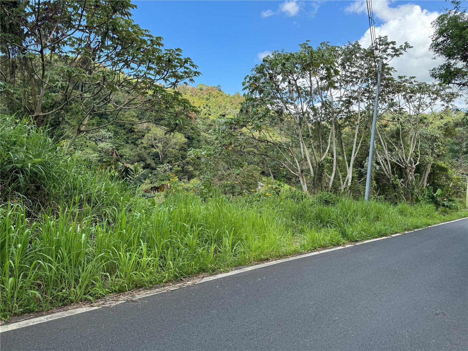 Property located Bo. Collores of Humacao on Highway 926 Km. 40.0. It consists of 4.78 acres that offer ample land for various activities. Inside the property, there is a 9,000-gallon concrete water tank, ideal for water storage and distribution. Additionally, there is a cement and metal structure that previously operated as a water bottling plant, adding value and potential for future uses.
The plant also includes a drilled well, providing an additional water source. A little river runs behind the plant, adding natural appeal and an additional water source. This set of features makes this property versatile and valuable in a strategic location. Don't miss this business opportunity.