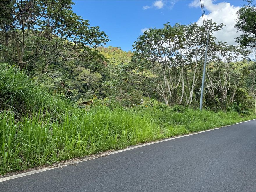 Property located Bo. Collores of Humacao on Highway 926 Km. 40.0. It consists of 4.78 acres with ample land for various activities. Inside the property, there is a 9,000-gallon concrete water tank, ideal for water storage and distribution. Additionally, there is a cement and metal structure that previously operated as a water bottling plant, adding value and potential for future uses.

The plant also includes a drilled well, providing an additional water source. A little river runs behind the plant, adding natural appeal and an additional water source. This set of features makes this property versatile and valuable in a strategic location. Don't miss this business opportunity.