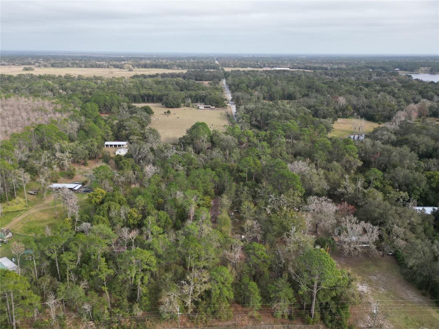 4.5 acres of level land filled with beautiful trees. Incredible opportunity to build your dream home and be able to ride your horse. Incredible location for the outdoorsman or nature lover. Truly a one of a kind location. Escape the hustle of city life while still being near. Downtown Mount Dora, Eustis and Umatilla.MOBILE HOME HAS NO VALUE. VALUE IS IN THE LAND.  CALL NOW TO SEE!!  Survey Available.