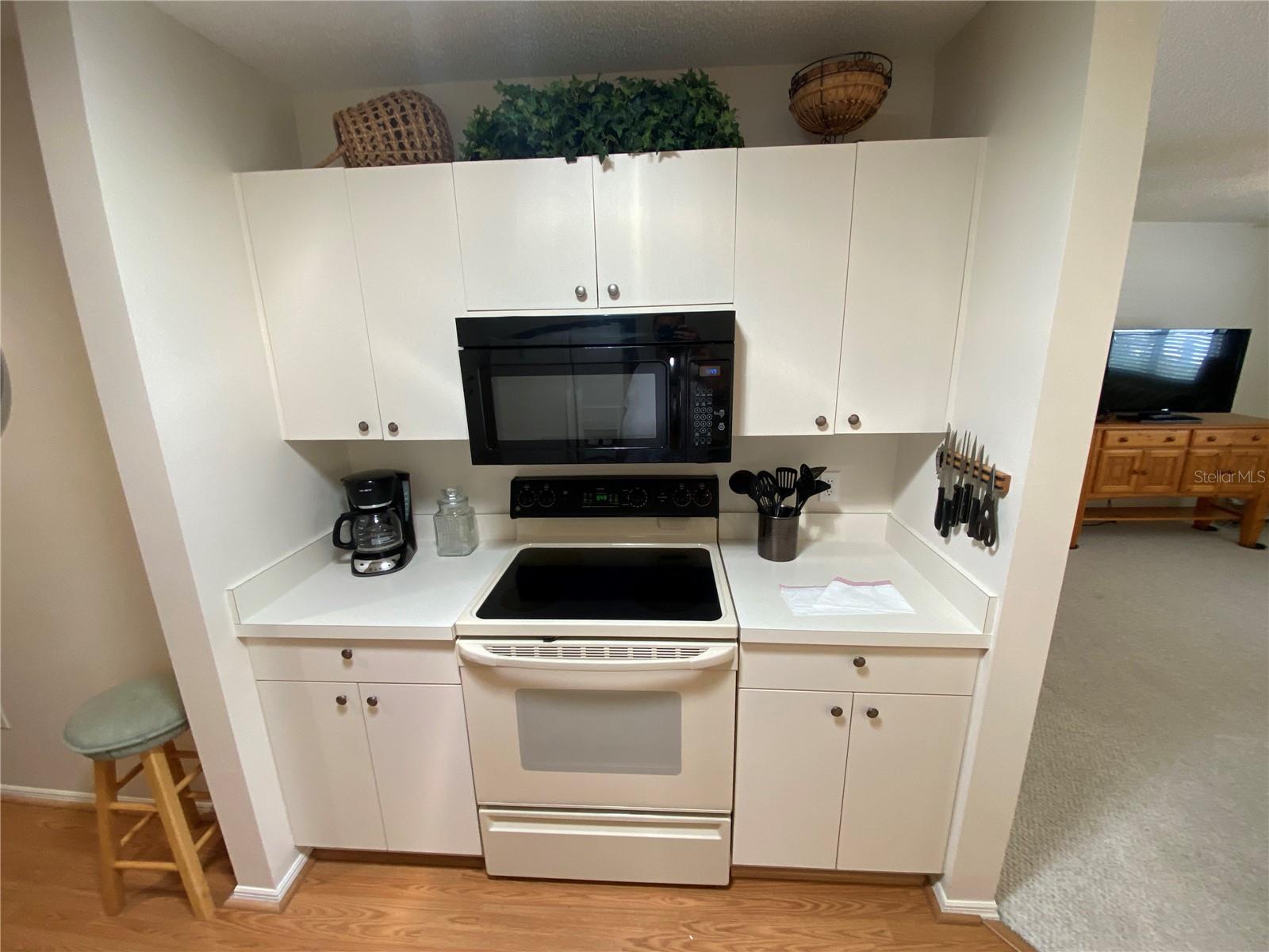 VILLAGES OF SUMTER VILLA DE LEON - Residential Lease