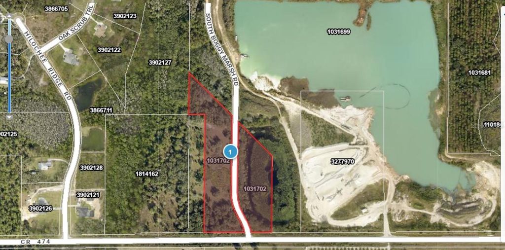 Photo of S Boggy Marsh Road, Clermont, FL 34711 (MLS # O6385088)