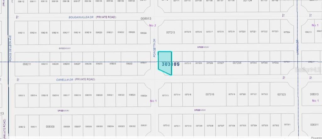 Photo of 224 Camellia Drive, Indian Lake Estates, FL 33855 (MLS # O6272518)