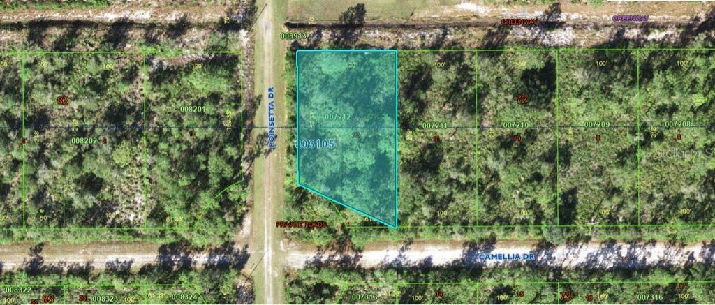 Photo of 224 Camellia Drive, Indian Lake Estates, FL 33855 (MLS # O6272518)