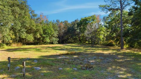Tiny photo for 2451 SE Highway 41, Morriston, FL 32668 (MLS # OM713731)