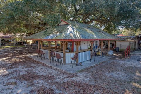 Tiny photo for 2451 SE Highway 41, Morriston, FL 32668 (MLS # OM713731)