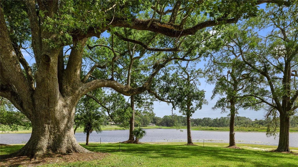 Photo of Reagan Trail, Lake Mary, FL 32746 (MLS # O6437478)