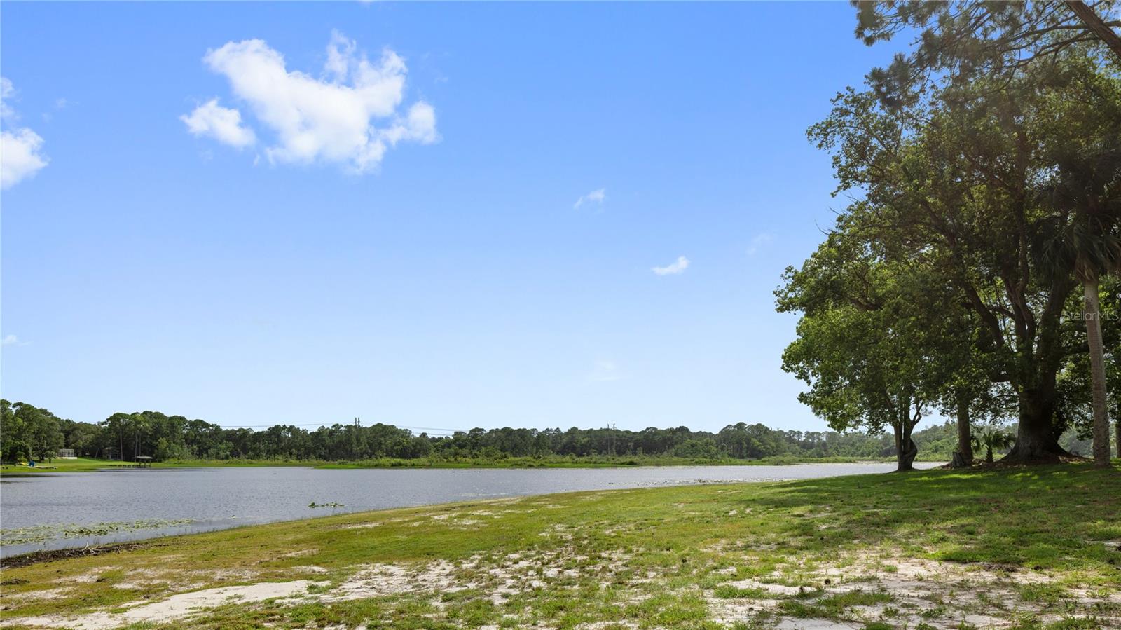 REAGAN TRAIL