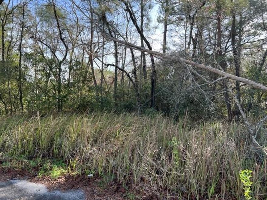 Beautiful Buildable lot in a growing community. close to New Equestrian center zoned R4