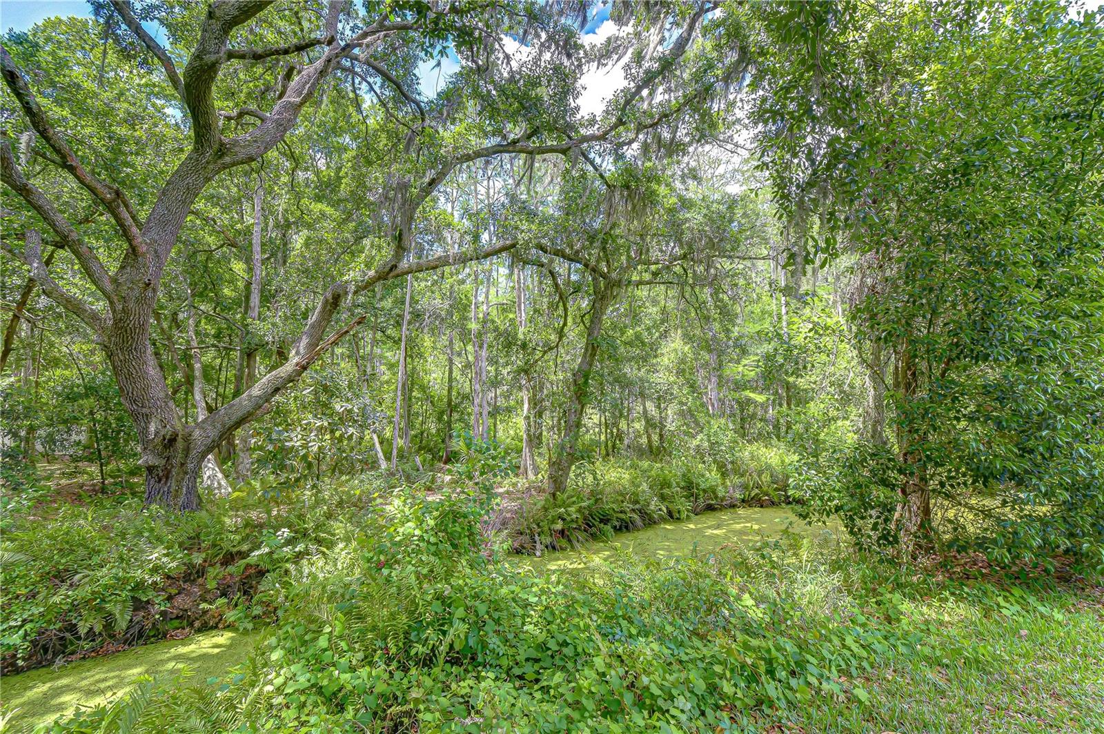 LAKE ARMISTEAD ESTATES - Residential