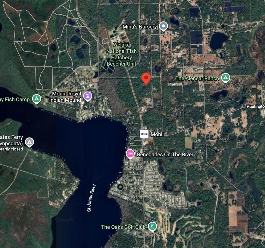 Discover your slice of Florida paradise with this 2.37-acre vacant lot, perfectly positioned for peaceful country living with convenience close by. Located just 8 minutes from the Welaka Public Boat Ramp, you’ll have easy access to the beautiful St. Johns River—ideal for boating, fishing, and weekend adventures. This spacious property offers plenty of room to design your dream home, add a workshop, or create the private retreat you’ve always wanted. Enjoy the charm of small-town living while being only 15 minutes from historic downtown Crescent City, a community that’s been buzzing with exciting new growth and revitalization—featuring local shops, restaurants, and waterfront parks. 
Whether you’re looking for a weekend getaway or a full-time residence site, this property combines tranquil surroundings, outdoor recreation, and investment potential all in one.