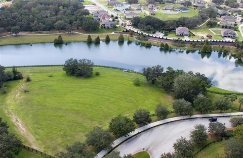 A home in MOUNT DORA