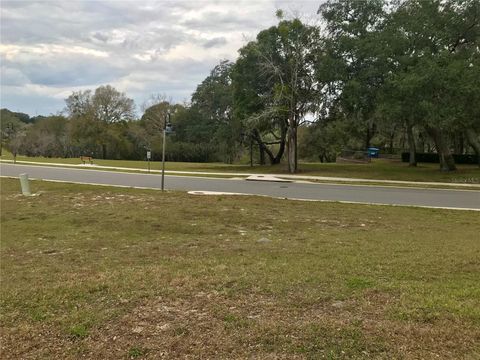 A home in MOUNT DORA