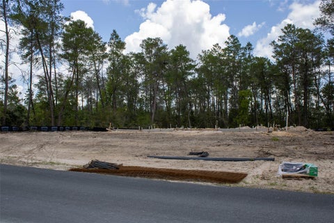 Tiny photo for 6175 N Canyon Drive, Beverly Hills, FL 34465 (MLS # W7885841)
