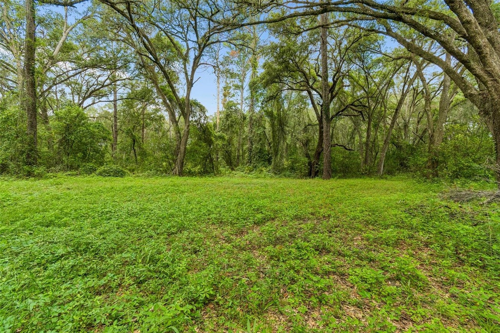 Photo of 21835 Valhalla Way, Dade City, FL 33523 (MLS # TB8544046)
