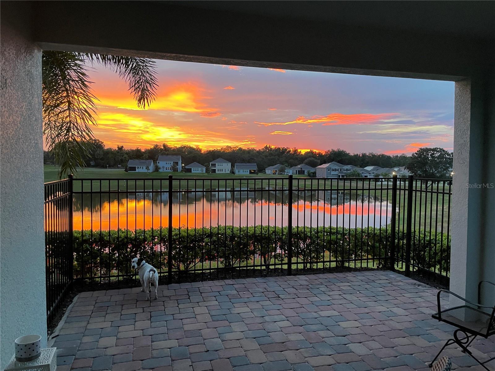 Welcome to Your Stunning Pond-Front Former Model Home
From the moment you step through the front door, breathtaking views of a scenic pond and tranquil fountain greet you, setting the tone for this beautifully designed residence. Nestled in a prime location, this professionally curated former model home combines elegance, functionality, and serene Florida living.
A charming front porch with ample seating and stylish brick pavers leads to a stately 9-foot leaded glass entry door. Inside, you'll find a meticulously maintained interior filled with premium upgrades and thoughtful design touches throughout.
Gourmet Kitchen & Living Space
The chef’s kitchen is a dream—offering an expansive layout with custom cabinetry, designer lighting, and high-end finishes. Highlights include: Large center island, Ample counter space, Separate dinette area, Walk-in custom pantry with wall-to-wall shelving, Gas cooktop, double ovens, pot filler, farmhouse sink, Decorative range hood and upgraded fixtures. The kitchen opens seamlessly into a spacious family room featuring soaring 12-foot ceilings and abundant natural light pouring in from the triple 8-foot sliding glass doors.
Bedrooms & Owner’s Retreat
All four bedrooms and three full baths are located on the first floor. The private owner’s suite is tucked at the back of the home with serene rear-facing windows overlooking the pond and fountain. The luxurious en-suite bathroom boasts custom cabinetry, high-end finishes, and an elegant design.
Bonus Room & Balcony
Upstairs, a versatile bonus room (or fifth bedroom) features its own full bath, custom built-ins, surround sound, and a dedicated system/storage room. Step out onto the private balcony to enjoy panoramic views of the pond and sunsets that make every evening magical.
Community & Location
Located in the desirable Hull Island community, residents enjoy access to: Dog park, Community pool, Private entrance to the 150-acre Oakland Nature Preserve and its scenic trails
The Town of Oakland is a picturesque, historic area known for its tree-lined streets, beautiful lakes, and welcoming atmosphere. You’re just minutes from: Shopping and dining at Winter Garden Village, Downtown Winter Garden's Farmers Market (every Saturday), The 22-mile West Orange Trail, Downtown Clermont’s lakeside restaurants and boutiques, Commuting is convenient with less than a 30-minute drive to Downtown Orlando, Orlando International Airport, major hospitals, theme parks, and highways. Florida’s world-class beaches are just an hour away.
This exceptional home truly represents the best of Florida living—don't miss your opportunity to make it yours!