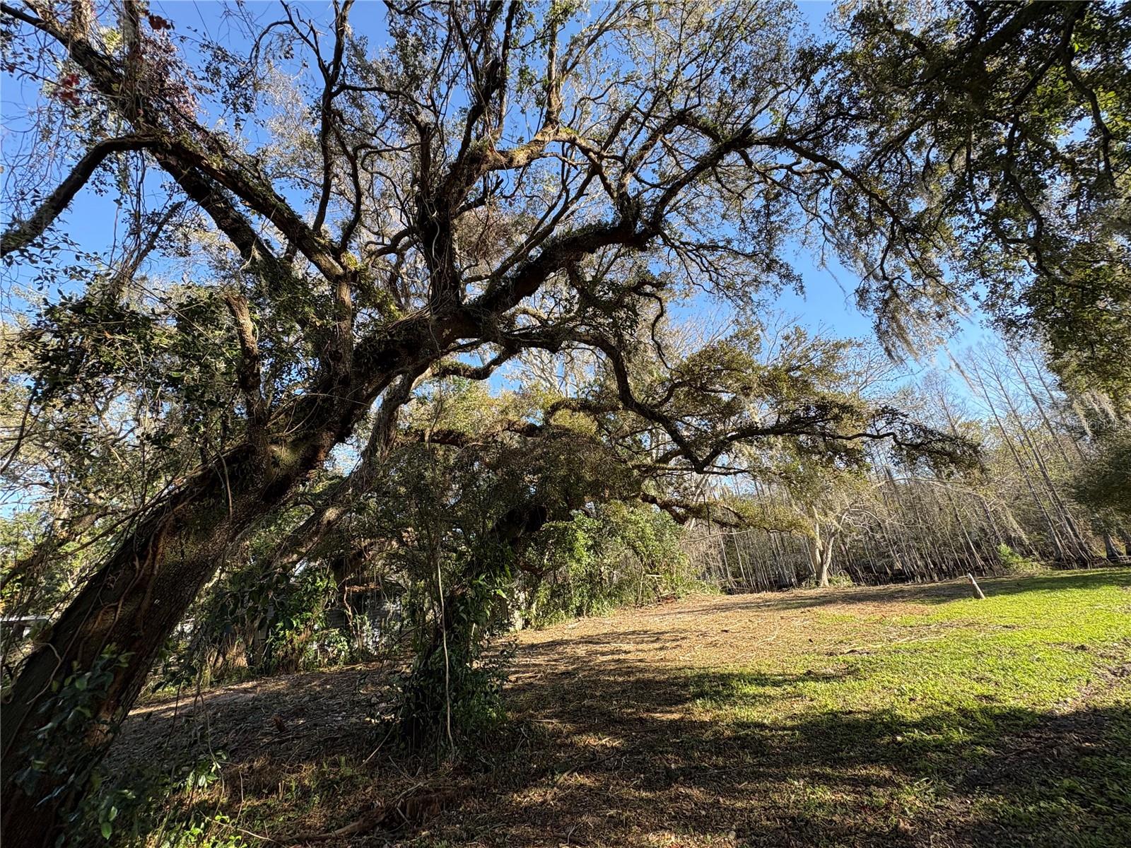 WITHLAPOPKA ISLANDS UNIT 02 - Land