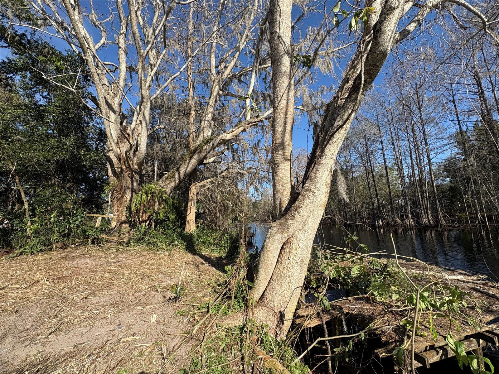 WITHLAPOPKA ISLANDS UNIT 02 - Land