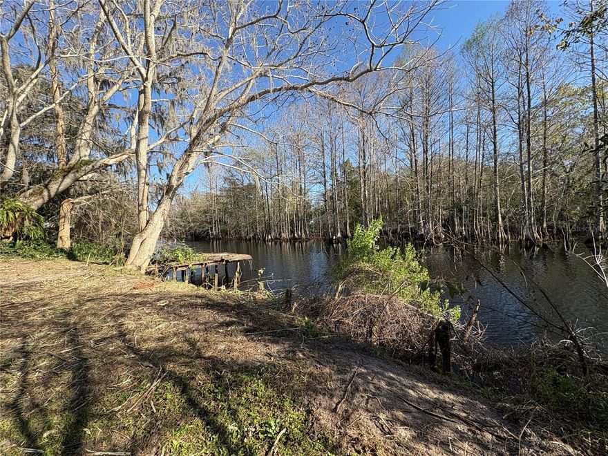 Stunning and rare waterfront lot with additional lot thrown in! This connects to the Tsala Apopka Chain of Lakes, so get ready to take your boat out to watch the fireworks from the lake on the 4th. This canal will take you all the way from Floral City to the Lakes of Inverness + Hernando, or get on the Withlacoochee River! Take a drive out here and walk around this gorgeous lot with views of water and trees only. No homes across the water from you. Seller just had it bush-hogged, so feel free to walk around. There had been a home on this prior, so impact fees have also been paid. Please DO NOT walk on the dock. Bonus lot INCLUDED! 2nd lot is 4988 S Catfish. It conveys with purchase.