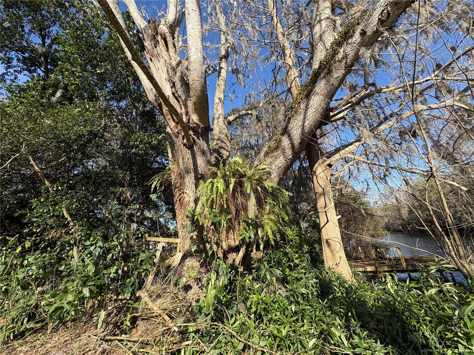 WITHLAPOPKA ISLANDS UNIT 02 - Land