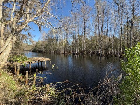 10500 E GOBBLER DRIVE FLORAL CITY FL 34436