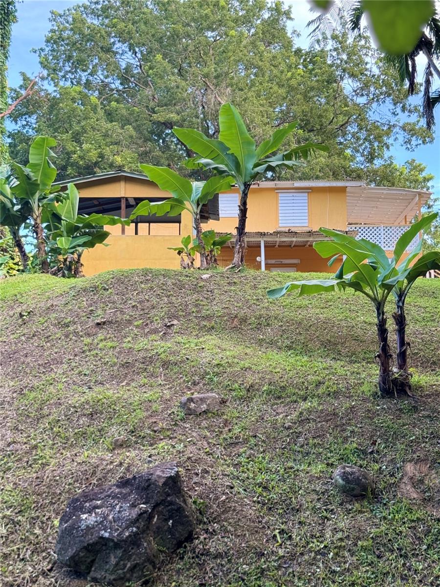 COLINAS DEL YUNQUE - Residential