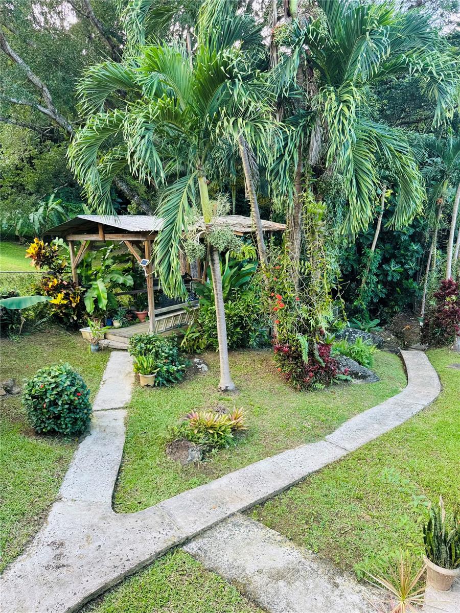 COLINAS DEL YUNQUE - Residential