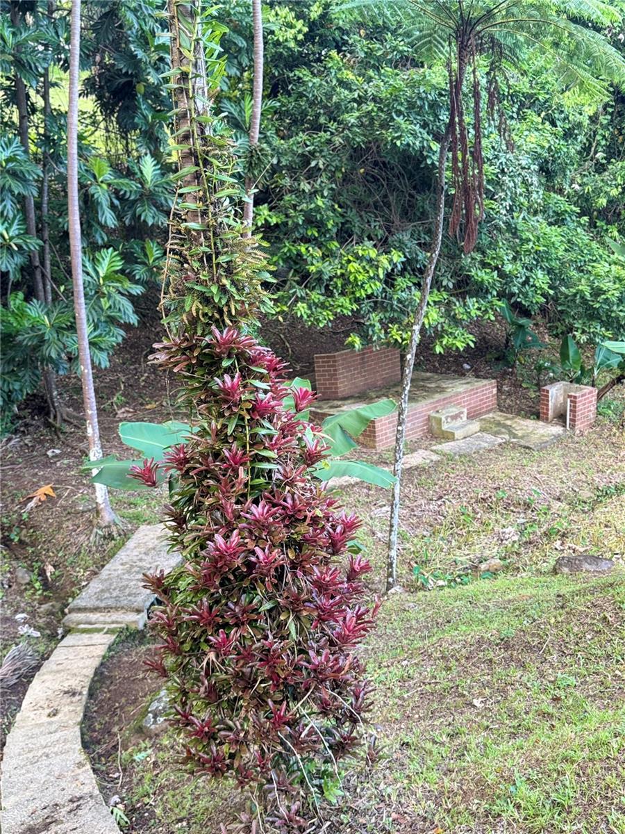 COLINAS DEL YUNQUE - Residential