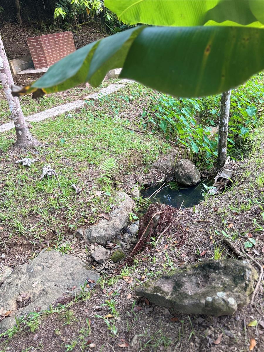 COLINAS DEL YUNQUE - Residential