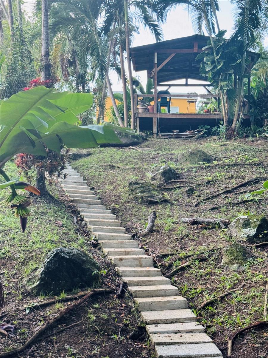 COLINAS DEL YUNQUE - Residential