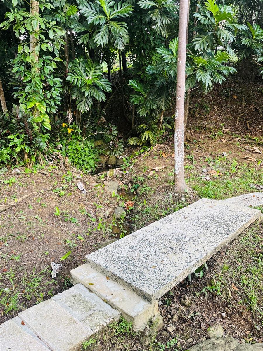 COLINAS DEL YUNQUE - Residential