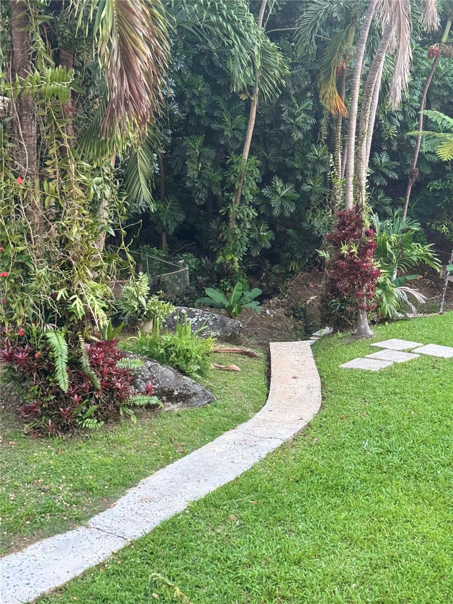 COLINAS DEL YUNQUE - Residential